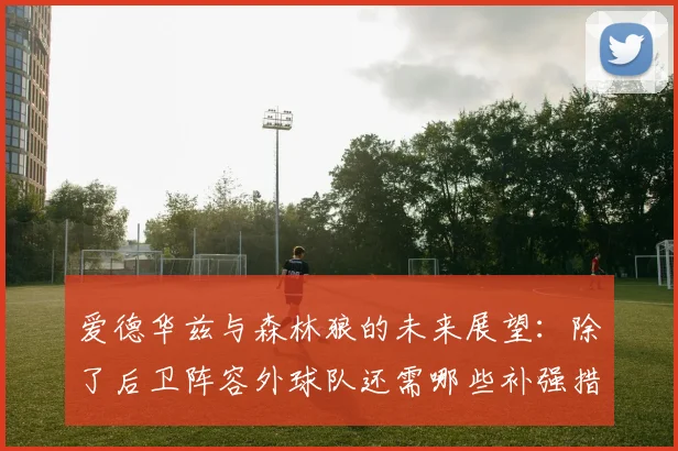 爱德华兹与森林狼的未来展望：除了后卫阵容外球队还需哪些补强措施